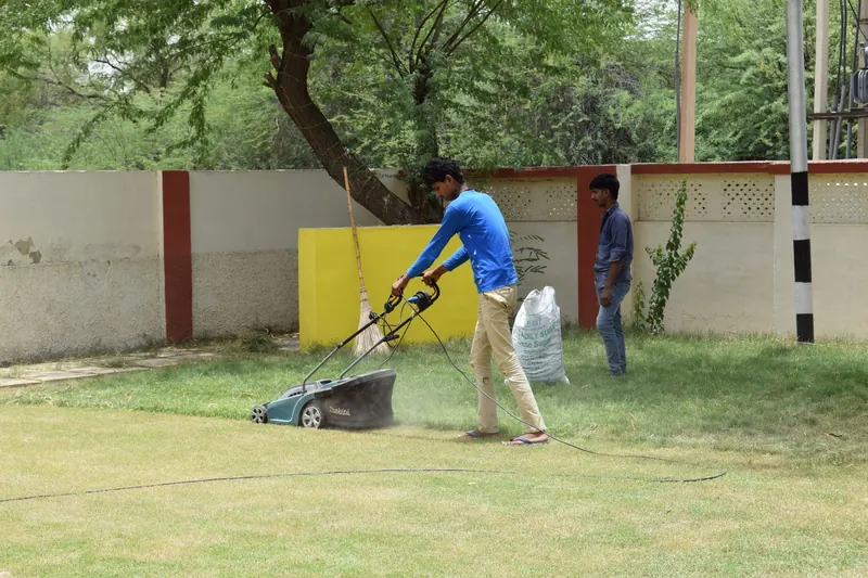 Young men working together on lawn maintenance with a mower in a sunny garden setting
