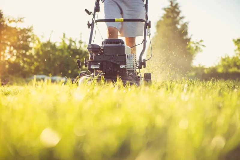 Close-up of a person mowing the lawn with a gas lawn mower on a sunny summer day