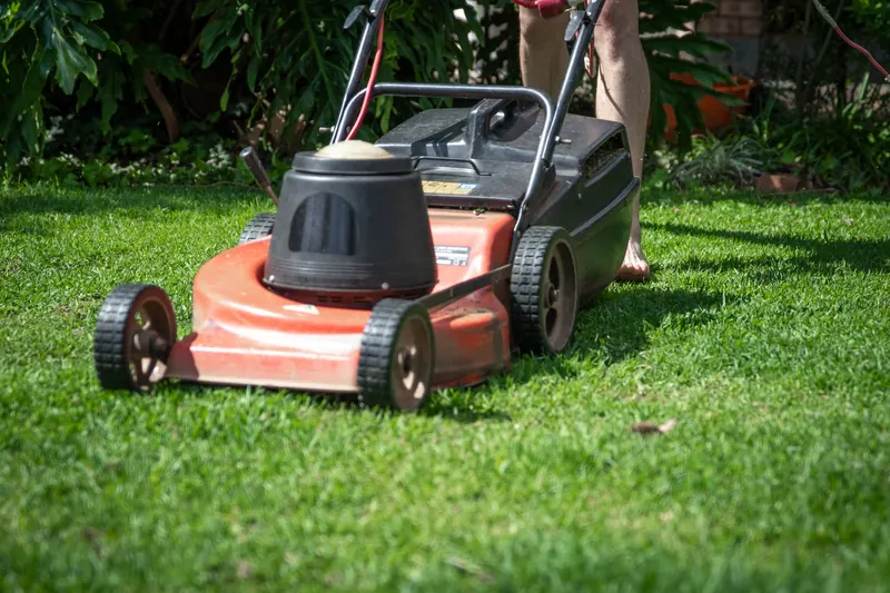 A person operating a lawn mower on green grass, featuring gardening tools and lush foliage