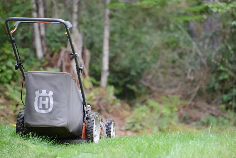 Rear view of a lawn mower on a lush green lawn with a forest backdrop