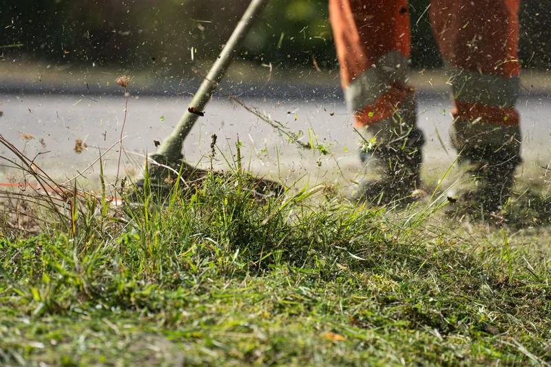 Close-up of a grass cutter trimming green grass with flying clippings outdoors