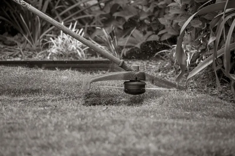 Close-up of a grass trimmer cutting the lawn with foliage background