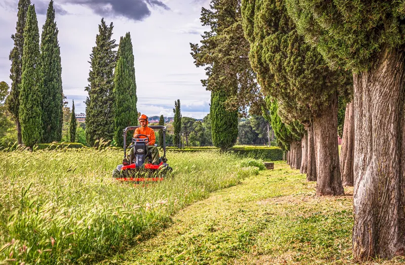 A man operates a lawn mower in a picturesque Italian landscape with cypress trees