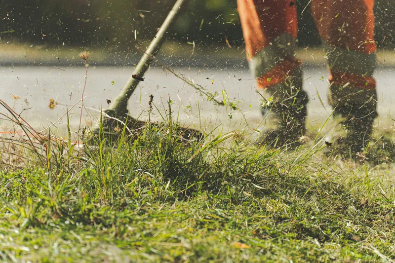 A person using a lawn mower to trim grass in a sunny garden