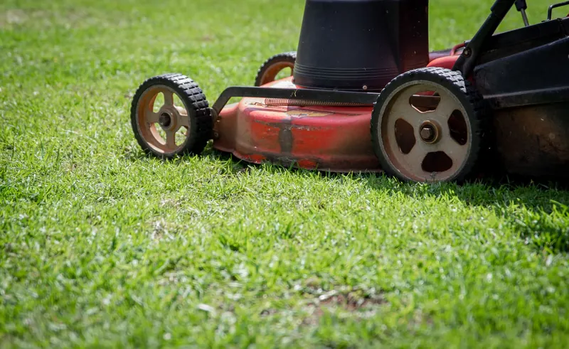 Photo showing a close-up of a lawn mower cutting fresh green grass on a sunny day