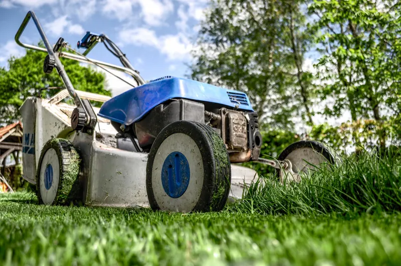 Close-up view of a lawn mower cutting grass in a garden on a sunny day